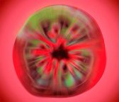 abstract, food, macro photo, studio, vegetables